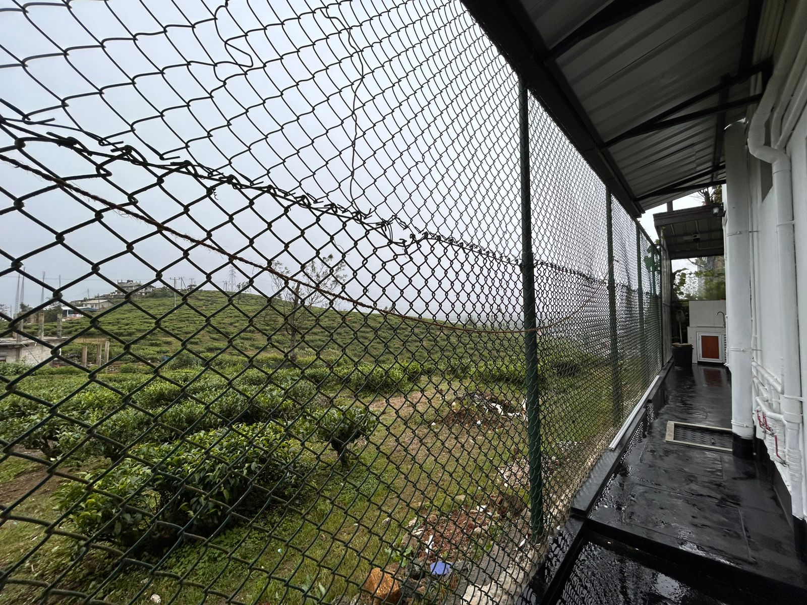 Balcony View